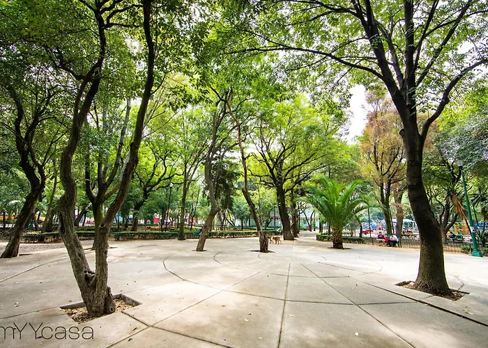 Nadal 203 - New Park Front Terrace Close To Polanco Apartment Mexico City